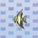 Angelfish