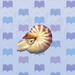 Chambered Nautilus.jpg
