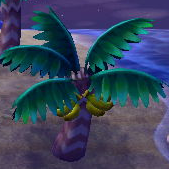 Palm tree.png