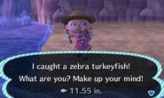 Zebra TurkeyFish