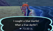 A player catching a blue marlin