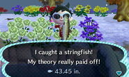 A player catching a stringfish (pt 2)