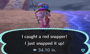 A player catching a red snapper