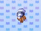 Hermit Crab