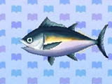 Tuna