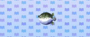 Blowfish Animal Crossing New Leaf Wiki Fandom