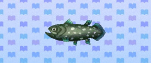 animal crossing new leaf coelacanth shadow