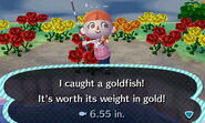 A player catching a goldfish