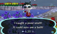 A player catching a pond smelt.