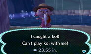 A player catching a Koi