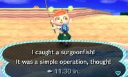 A player catching a Surgeonfish