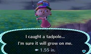 A player catching a tadpole
