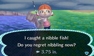 A player catching a nibble fish