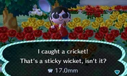 A player catching a cricket.