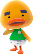 Joey NLWa