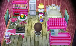 Midge Inside House.jpg