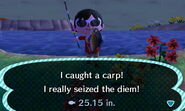 A player catching a Carp.