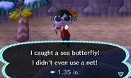 A player catching a sea butterfly.