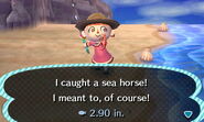 A player catching a sea horse