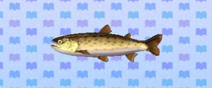 Stringfish, Animal Crossing: New Leaf Wiki