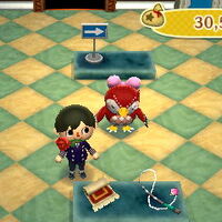 Museum Animal Crossing New Leaf Wiki Fandom