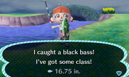 A player catching a black bass