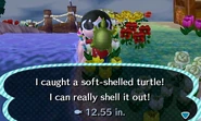 A player catching the turtle in the US version.