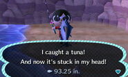 The player catching a tuna.