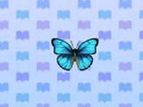 Emperor Butterfly