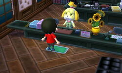 Town Hall interior.jpg
