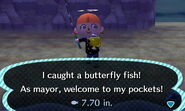 A player catching a butterfly fish