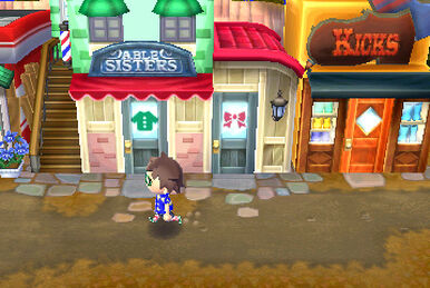 The Roost Café | Animal Crossing: New Leaf Wiki | Fandom