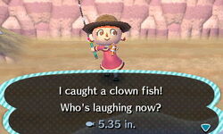 ClownFish.JPG