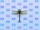 Darner Dragonfly