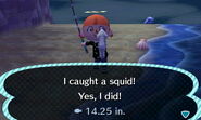 A player catching a squid