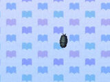 Pill Bug