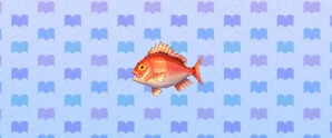 Red Snapper | Animal Crossing: New Leaf Wiki | Fandom