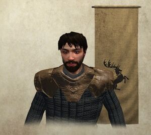 A Clash of Kings - A Mount and Blade: Warband Modification Wiki