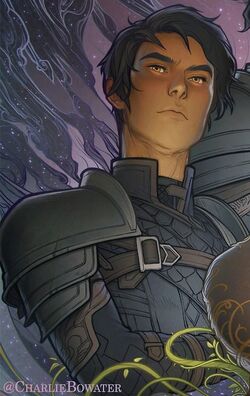 Featured image of post The Best 22 Rhysand Azriel Acotar Fanart