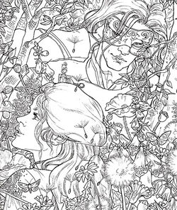 Download A Court Of Thorns And Roses Coloring Book A Court Of Thorns And Roses Wiki Fandom