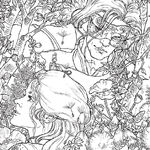 A Court Of Thorns And Roses Coloring Book A Court Of Thorns And Roses Wiki Fandom More than 5.000 printable coloring sheets. a court of thorns and roses coloring
