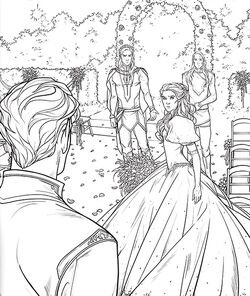 Pin de shimara en a court of thorns and roses colouring book