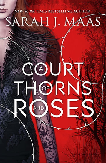 A COURT OF THORNS AND ROSES : PART ONE : FACE AND HAIR : colouring tutorial  