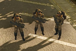 AoA Ingame FELIN