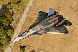AoA Ingame PAK FA