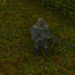 SAS