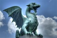 Dragon Ljubljana