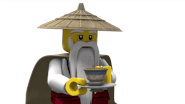 Master Wu