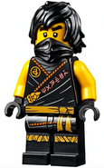Cole, in minifigure form