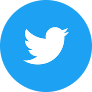 Twitter's logo.